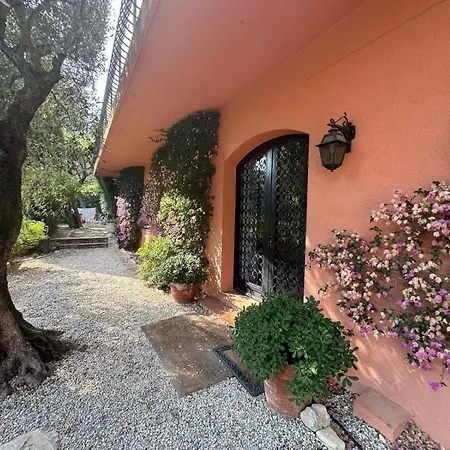 Orfee Elegance Et Tranquillite Sur Les Hauteurs De Villa Nice